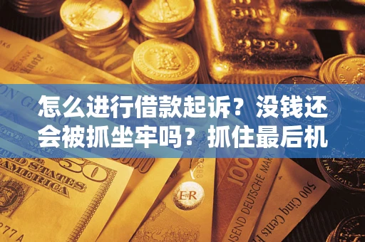武汉怎么进行借款起诉？没钱还会被抓坐牢吗？抓住最后机会！