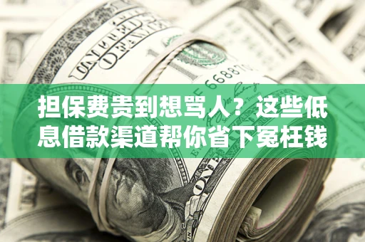 武汉担保费贵到想骂人？这些低息借款渠道帮你省下冤枉钱