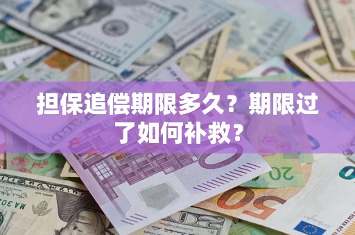 武汉担保追偿期限多久？期限过了如何补救？