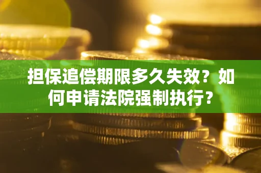 武汉担保追偿期限多久失效？如何申请法院强制执行？