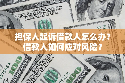 武汉担保人起诉借款人怎么办？借款人如何应对风险？