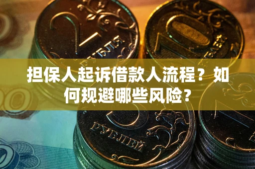 武汉担保人起诉借款人流程？如何规避哪些风险？