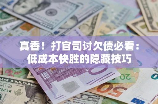 武汉真香！打官司讨欠债必看：低成本快胜的隐藏技巧