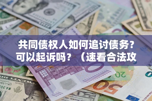 武汉共同债权人如何追讨债务？可以起诉吗？（速看合法攻略）