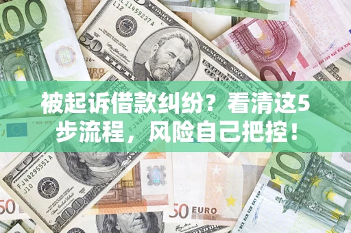 武汉被起诉借款纠纷？看清这5步流程，风险自己把控！