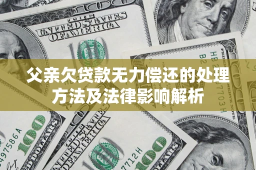 武汉父亲欠贷款无力偿还的处理方法及法律影响解析