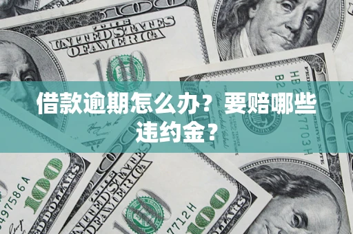 武汉借款逾期怎么办？要赔哪些违约金？