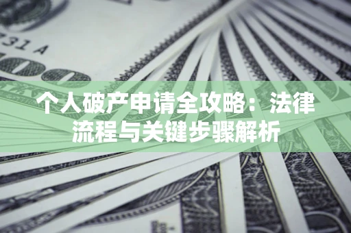 武汉个人破产申请全攻略：法律流程与关键步骤解析