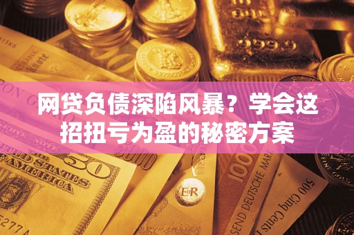 武汉网贷负债深陷风暴？学会这招扭亏为盈的秘密方案